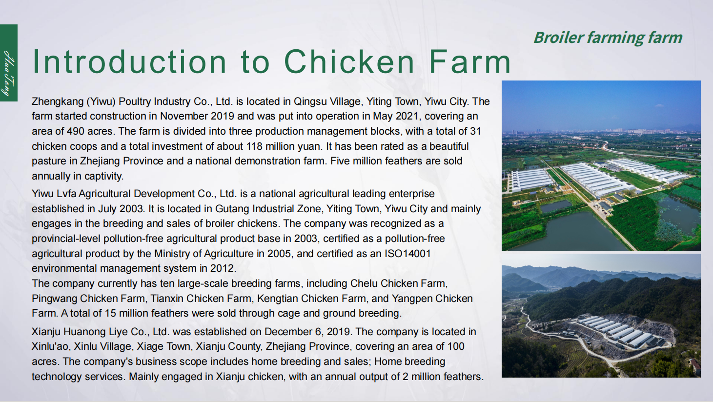 Broiler Chicken Farming